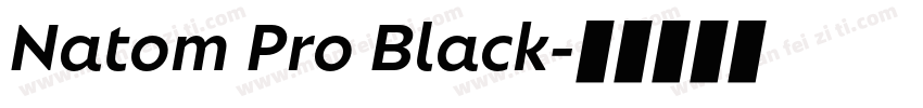 Natom Pro Black字体转换